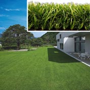 Artificial Lawn - 50 mm